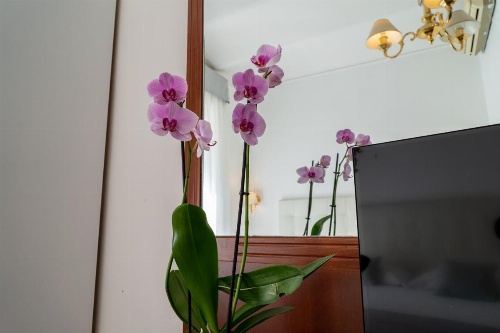 Hotel Gabriella image 5