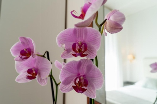 Hotel Gabriella image 7